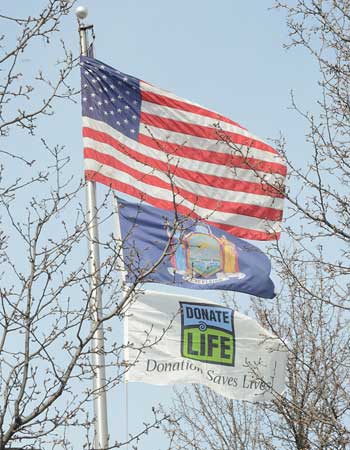 Donate Life flag on flagpole with other flags